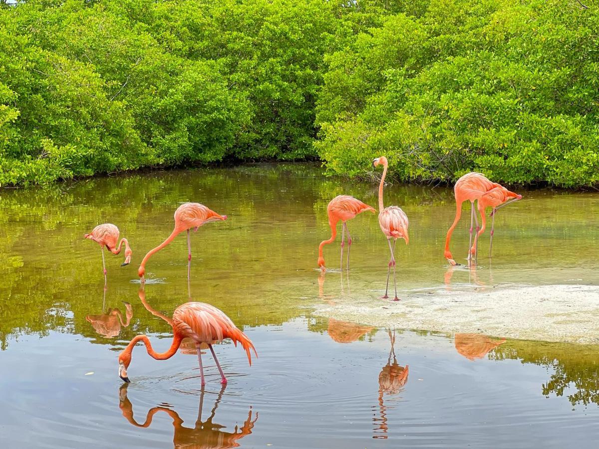 Hotel Isla Palma Reserva Natural Екстер'єр фото